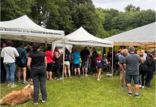 Grand succès pour les Arlonaises
